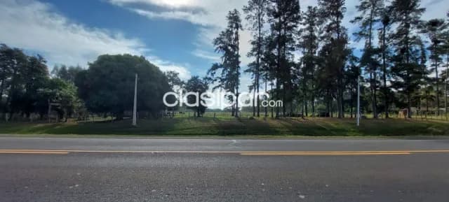 7 hectáreas sobre ruta 1 en coronel bogado, foto 3