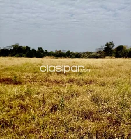 3 ha. De campo en cambyreta - bº san blas independencia, foto 4
