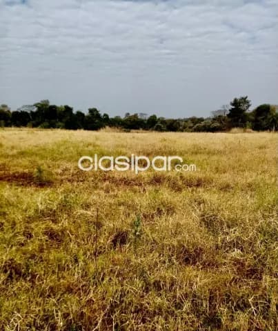3 ha. De campo en cambyreta - bº san blas independencia, foto 5