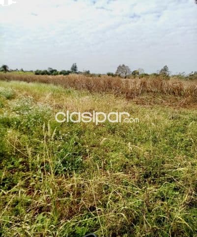 4 ha. De campo en bº san blas - cambyreta - itapua