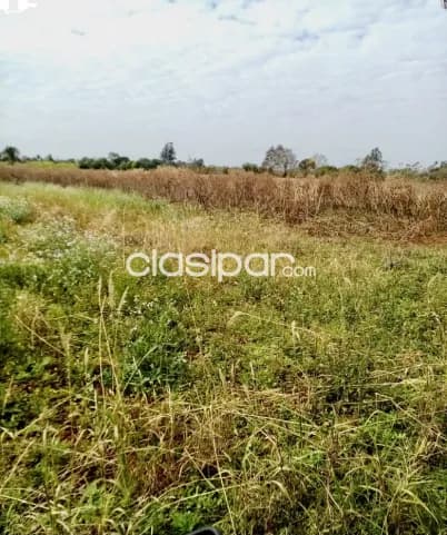 4 ha. De campo en bº san blas - cambyreta - itapua, foto 2