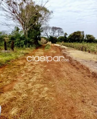 4 ha. De campo en bº san blas - cambyreta - itapua, foto 4