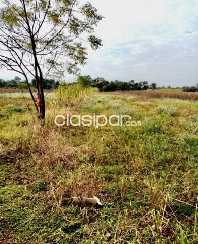 4 ha. De campo en bº san blas - cambyreta - itapua, foto 5