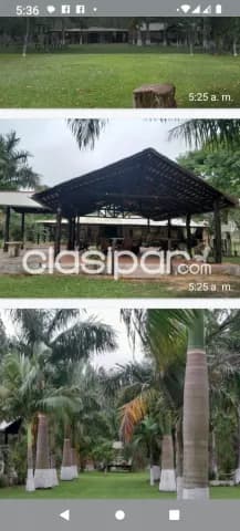 San José de los arroyos, caaguazú: 20 has, granja c/ todas la comodidades, agro-ganaderas, foto 2