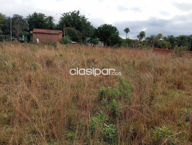 3 Terrenos de 12x30 m2 en Ypacarai juntos o por separado a 3 cuadras de la ruta