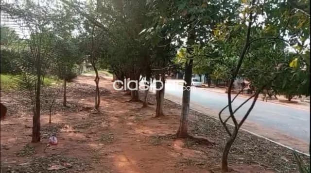 Terreno en zona de cecimiento en capiata, foto 2