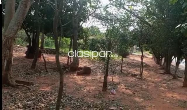 Terreno en zona de cecimiento en capiata, foto 4