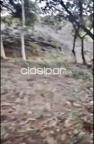 Amplio terreno con casa en tobati - bº san miguel — foto 2