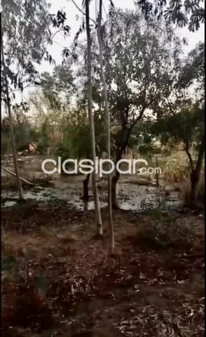 Amplio terreno con casa en tobati - bº san miguel — foto 5