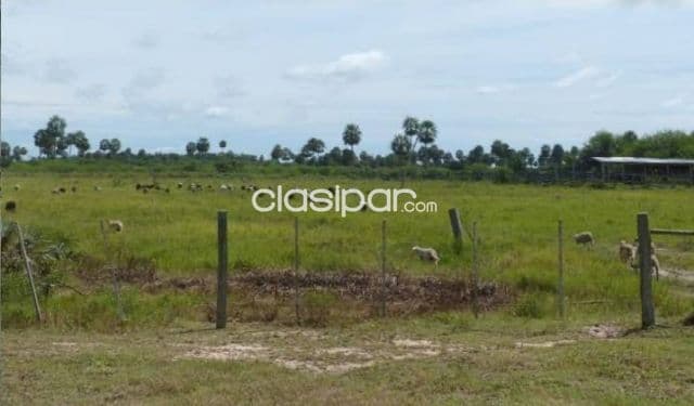 En venta propiedad rural en benjamin aceval id 30880 — foto 1