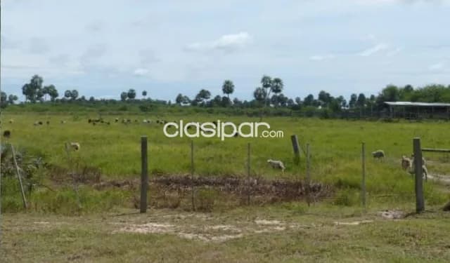 En venta propiedad rural en benjamin aceval id 30880 — foto 2