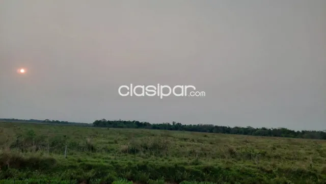 San jose de los arroyos, caaguazú: Maravillosas 26 has alambradas s/ ruta ideal p/ loteami, foto 4