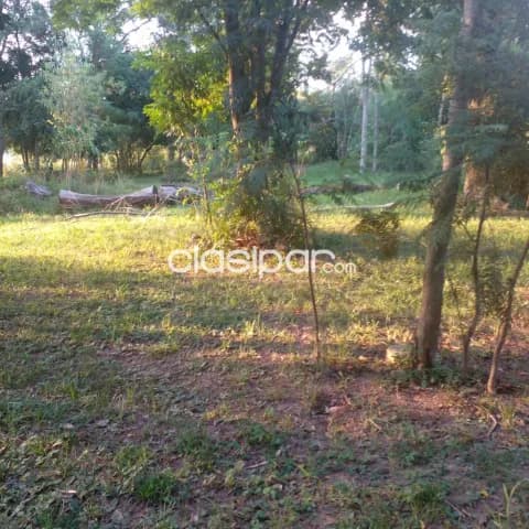 San jose de los arroyos, caaguazú: 50 has, s/ ruta, establecimiento desarrollado, alambrad, foto 3