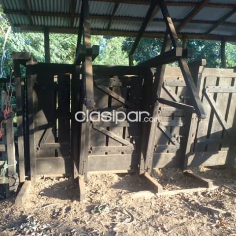 San jose de los arroyos, caaguazú: 50 has, s/ ruta, establecimiento desarrollado, alambrad, foto 4