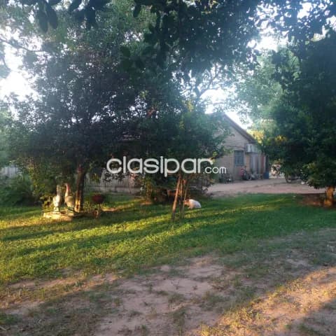 San jose de los arroyos, caaguazú: 50 has, s/ ruta, establecimiento desarrollado, alambrad, foto 5