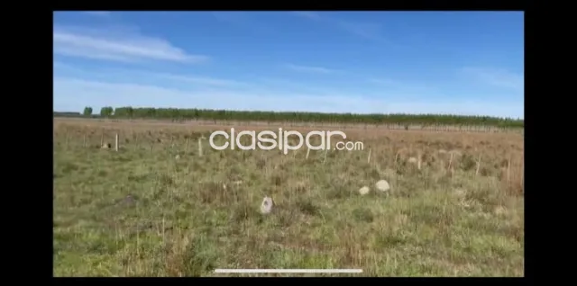 San jose de los arroyos, caaguazú: 140 has s/ asfalto, explotación mixta rural, foto 3