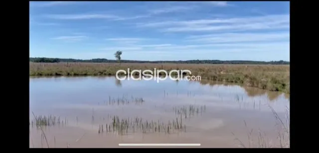 San jose de los arroyos, caaguazú: 140 has s/ asfalto, explotación mixta rural, foto 4