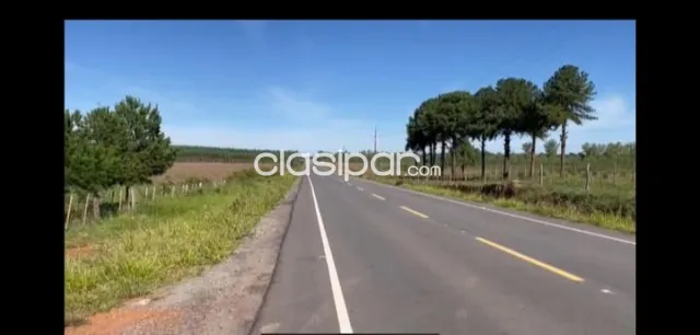San jose de los arroyos, caaguazú: 140 has s/ asfalto, explotación mixta rural, foto 5