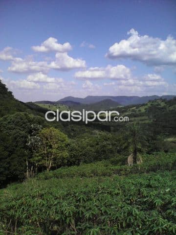 Guaira, ladera cerro ybyturuzu: 20 has, alto rendimiento mixto, luz, agua, 880.000.000 gs — foto 1