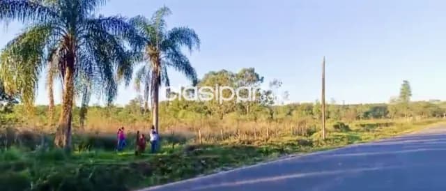 Terreno Rural en Nueva Italia sobre Ruta - 4 Ha — foto 3