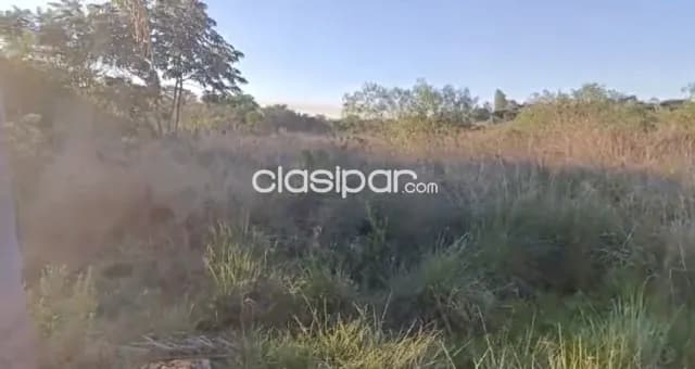 Terreno Rural en Nueva Italia sobre Ruta - 4 Ha — foto 4