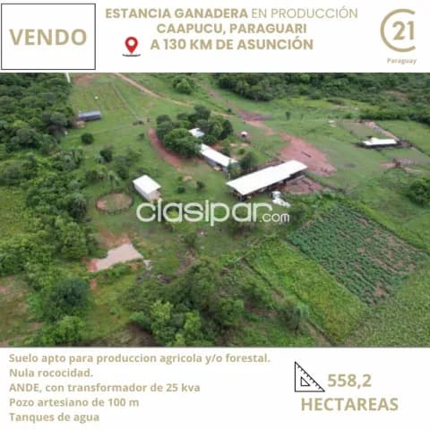 En Caapucu a 5 Km de ruta 1 . Estancia Formada 558 hectareas, foto 2