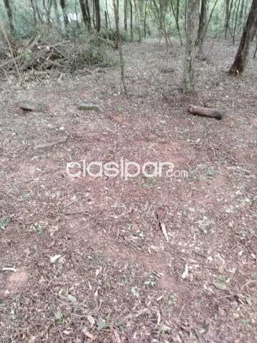 21 ha. De campo en San Bernardino - zona ciervo cua — foto 2