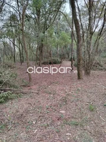 21 ha. De campo en San Bernardino - zona ciervo cua — foto 3