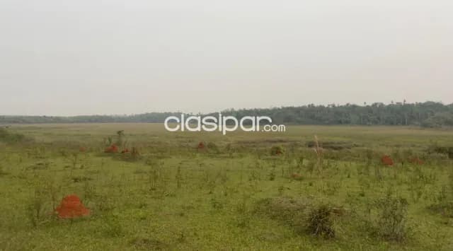 Campo 70 hectareas, a 1hora de paso yobai — foto 2