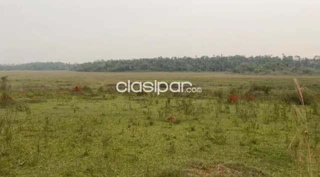 Campo 70 hectareas, a 1hora de paso yobai — foto 4