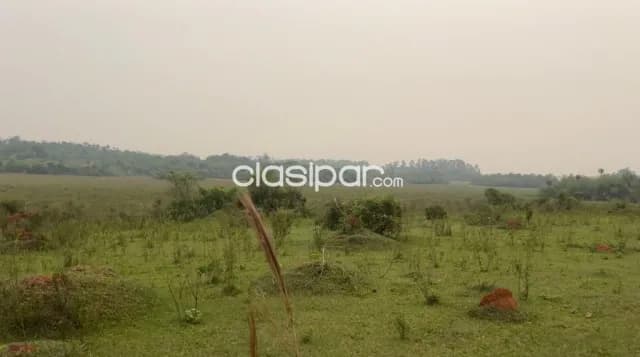 Campo 70 hectareas, a 1hora de paso yobai — foto 5