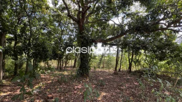 Terreno Rural en Atyra - 8 Ha, foto 3