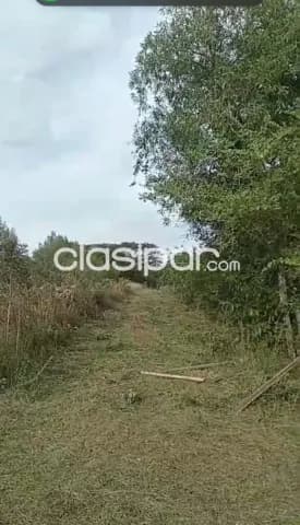 7 hectareas en paraguari cerro leon cod 4678 — foto 3