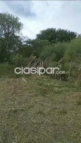 7 hectareas en paraguari cerro leon cod 4678 — foto 4