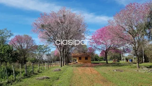 San roque gonzalez, paraguari. 128 ha. Tu proximo centro de produccion...!!! — foto 4