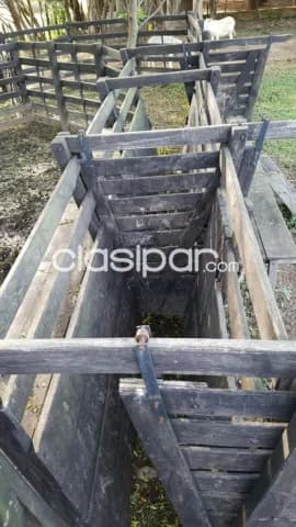 San roque gonzalez, paraguari. 128 ha. Tu proximo centro de produccion...!!! — foto 5