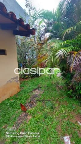 terreno en ubicacion privilegiada. FDO. DE LA MORA SUR — foto 3