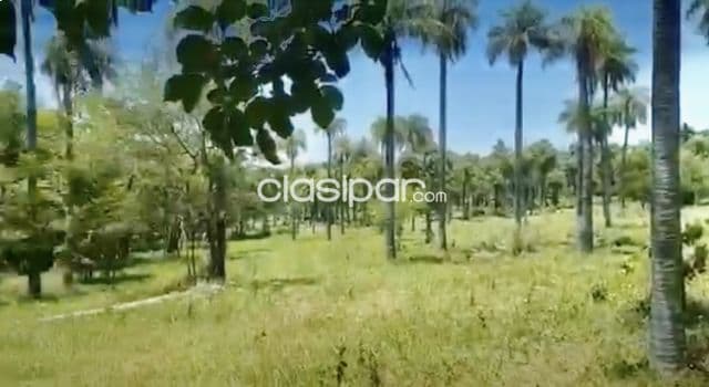2ha. De campo en atyra - zona comandante ojeda