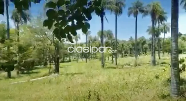 2ha. De campo en atyra - zona comandante ojeda, foto 2