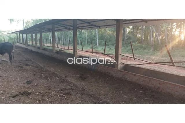 Estancia p/ engorde 35 ha en tobati — foto 3