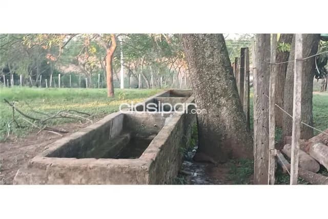 Estancia p/ engorde 35 ha en tobati — foto 5