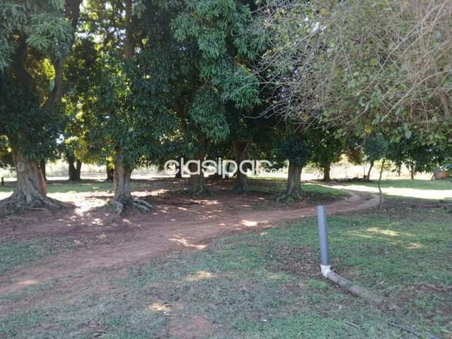 80.000 metros cuadrados & 8150. Sin intermediarios. Busco sólo propietarios. Orientado a l, foto 5