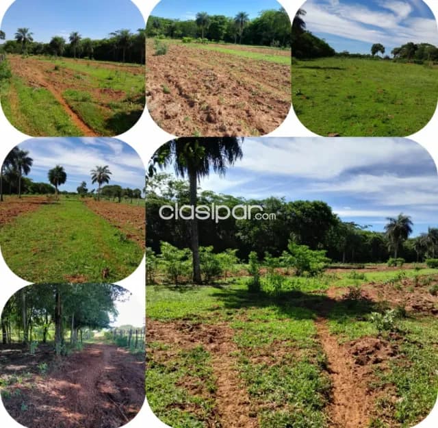 Hermosa propiedad de 5 htas. Preparada para granja - zona bertoni!! Santani — foto 4