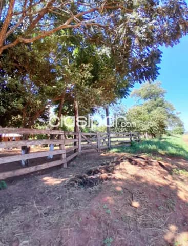 Hermosa propiedad de 5 htas. Preparada para granja - zona bertoni!! Santani — foto 5