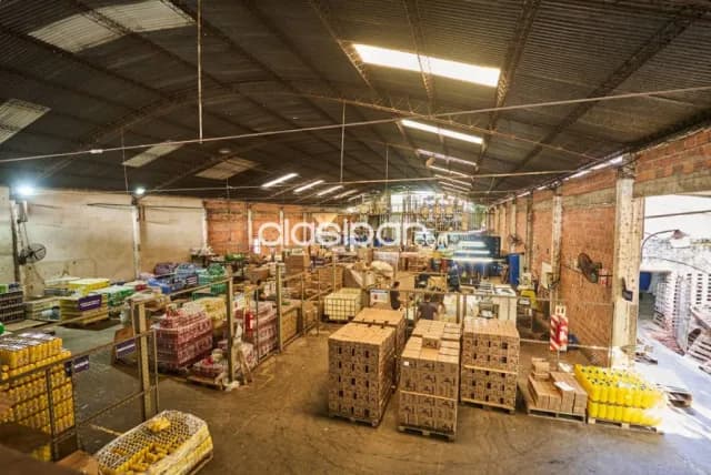 Amplia propiedad comercial-industrial en capiata ruta d027, km 16.5, foto 5