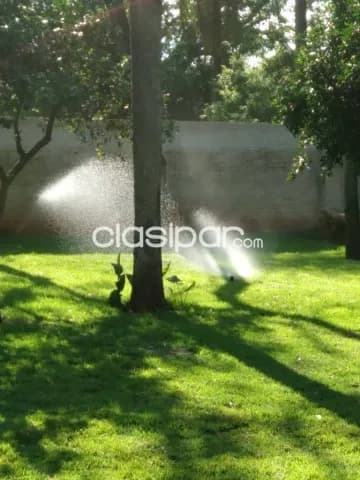 Amplia y moderna casa con piscina en san antonio, foto 4