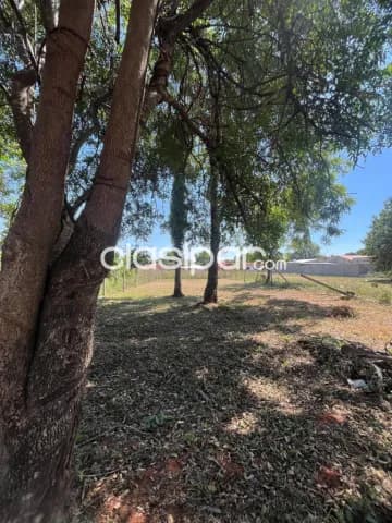 A Precio De Oferta Hermoso Terreno En Isla Bogado Luque — foto 3