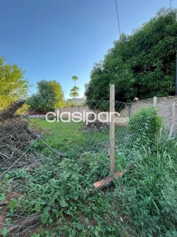 A Precio De Oferta Hermoso Terreno En Tajasuape San Lorenzo — foto 4