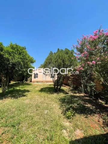 Terreno en capiata ruta 2, zona ips, foto 2