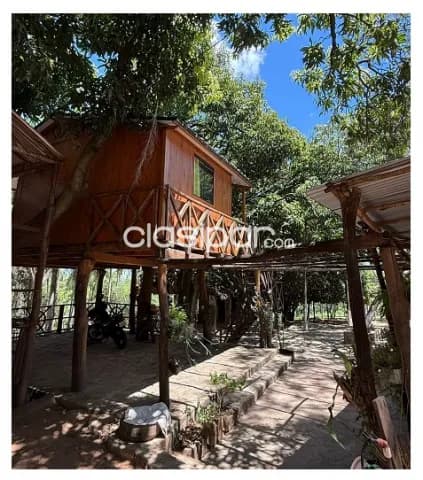 Ypacarai - granja ecologica completa - ubicacion estrategica — foto 5